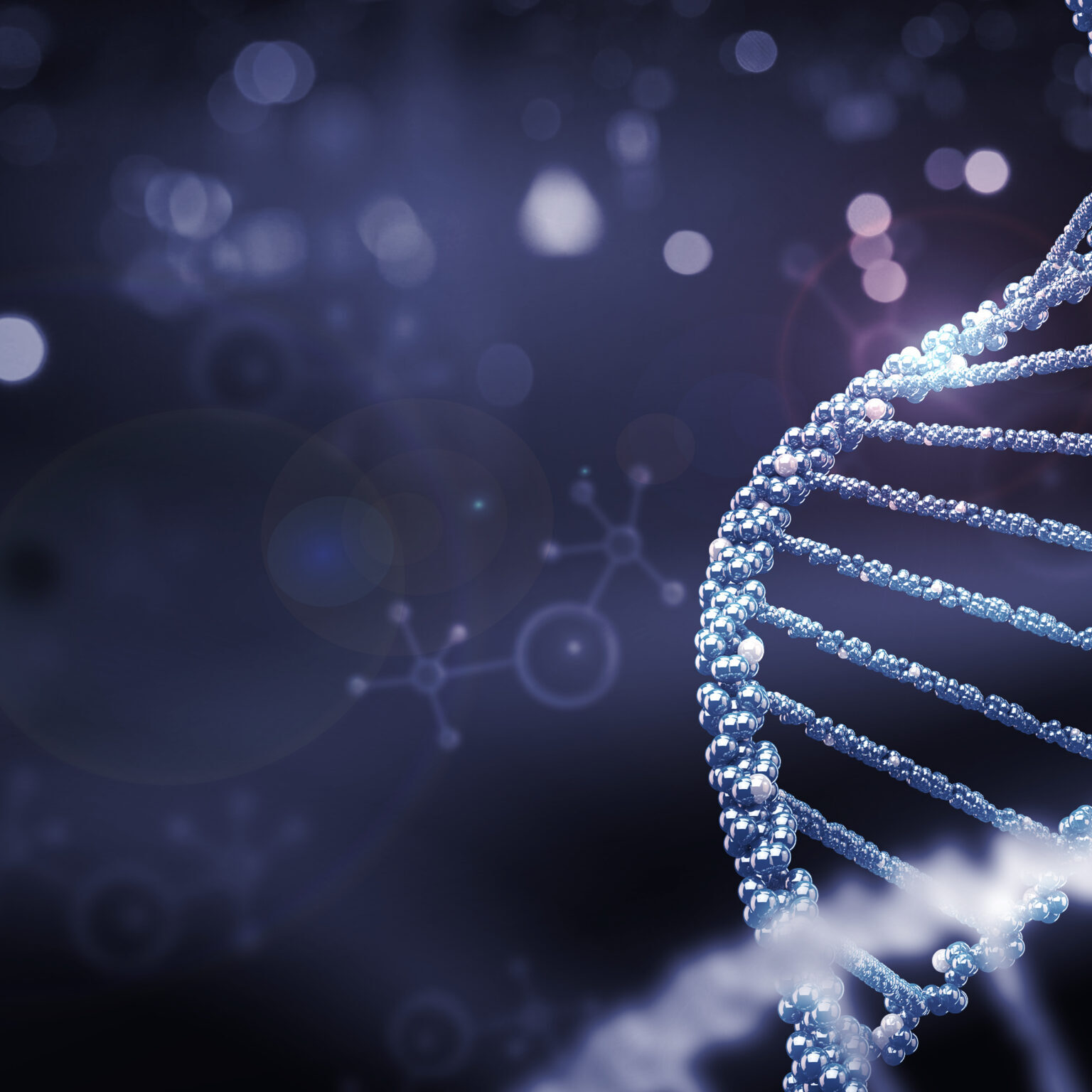 DNA molecule