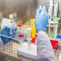 Laboratory work 